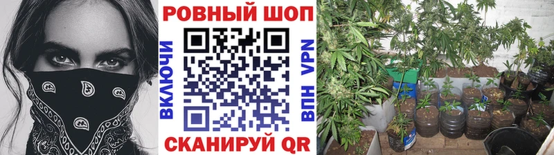 Купить наркотики цена Южно-Сухокумск АМФ  Мефедрон  Гашиш  ссылка на мегу tor  Альфа ПВП 