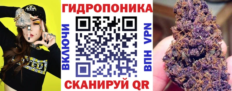 OMG ONION  Южно-Сухокумск  Канабис White Widow 